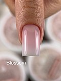 ג'ל בניה נוזלי ורדרד Liquid Builder Gel Blossom 30 ml ג'ל בניה נוזלי ורדרד Liquid Builder Gel Blossom 30 ml